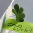 인생순대국 이미지