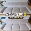 진영세탁 | 침대토피아 밀양 거제 소파 세탁 후기 생활 얼룩까지 꼼꼼하게 관리했어요