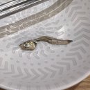 치어스 야탑점 이미지