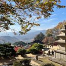 청포마루 이미지