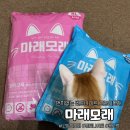 고양이 모래 - &#39; 마래모래 &#39; 벤토나이트 모래 / 최고가성비 고양이 모래
