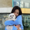 조이그라운드 이미지