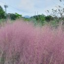 함덕왕갈비탕 이미지