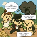 하모니퍼피 네이버블로그
