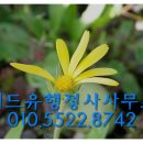 위드유 행정사사무소 이미지