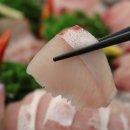 목화횟집 이미지