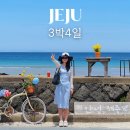 구자목장 | 제주도 동부 여행코스 3박 4일 총정리~