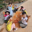 예솔어린이집 이미지