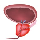 맨투맨남성의원 이미지