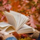 한복 소매업 이미지