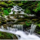 월광가든 이미지