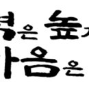 리더스숲유치원 이미지