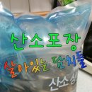 봉골수산 | 자연산 담치(홍합) 요리.. 싱싱한 수산물