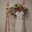 냥냥호텔 이미지