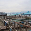 민물고기전시관 | [충주 가볼만한곳] 충주의 작은 아쿠아리움, 충주 민물고기전시관 갔다온 후기!!