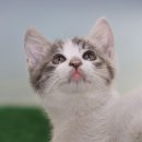 반포자이동물병원 이미지