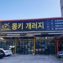 몽키개러지 이미지