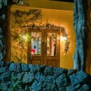 제주청년돼지 이미지