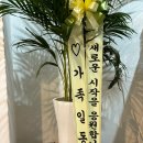 위복싱짐 노원점 이미지