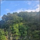 불갑농협주차장게시대 | (고창) 선운사 꽃무릇, (영광) 백수해안 도로, (영광) 불갑사 상사화 축제