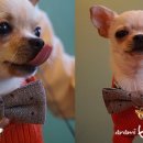 개토피아 이미지