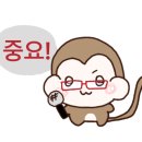 가림헤어 네이버블로그