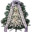 가능초등학교 이미지