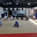 리미트릭스마샬아츠트릭킹아크로바틱센터