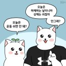 김지 이미지