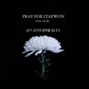 세아패션 네이버블로그