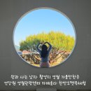 왕과사는남자 영월 가볼만한곳 top5 연당원 영월관광센터 카페올라 한반도뗏목마을 젊은달와이파크