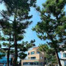 삼교리 동치미 막국수 이미지