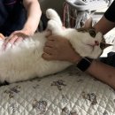 송파 마리동물병원 이미지