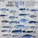 삼삼복집 | [마산] 오동동 해장으로 딱 좋은 담백한 복찌개 마산어시장맛집 해송복집