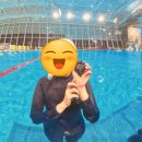 문수실내수영장 | 프리다이빙 일일체험 후기 울산 문수 실내수영장