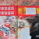 킹성인게임랜드 이미지