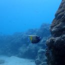 새참하우스 | 괌 5박 6일 여행 마무리 ｜ 괌 4일차부터 마지막 일정 정리