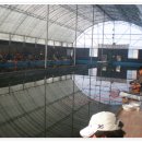 광석낚시터 이미지