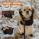 하이도그 | 강아지 겨울철 신발 후기｜논스톱 도그웨어 프로텍터 부티 내돈내산