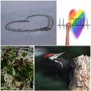 풀잎 위의 이슬 이미지