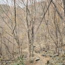 지리산충혼탑 이미지