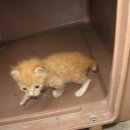 영림축산 이미지