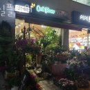 세실플라워