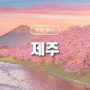 예래 본향당 이미지