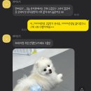 하이도기 이미지