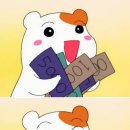 오렌지샵 이미지