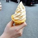 홍이농장 | 삿포로 여행 여행한그릇 비에이 버스 투어 내돈내산 후기 (7월 코스/가격/꿀팁)