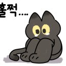 에스와이일렉트릭