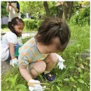 햇살자연어린이집 이미지