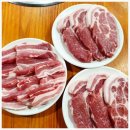 누렁소 - 안동시 | 누렁소